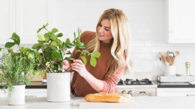 TƯỜNG TẬN  PHONG CÁCH